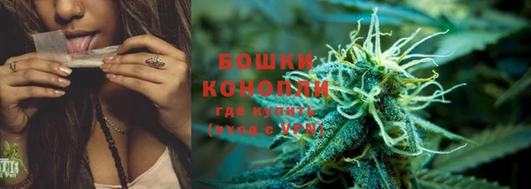 крисы Зеленокумск