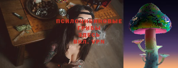дживик Зеленодольск