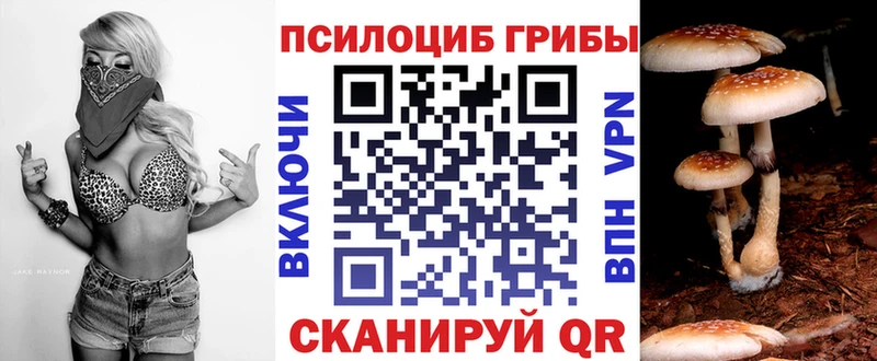 Псилоцибиновые грибы Psilocybine cubensis Каменск-Шахтинский